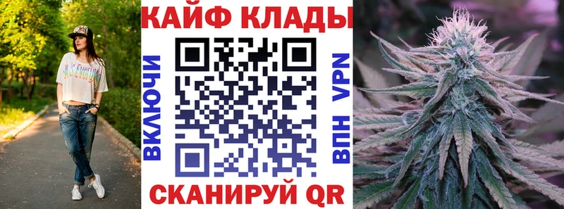 Где купить наркотики Завитинск Кокаин  Alpha-PVP  hydra онион  ГАШИШ  Бошки Шишки  МЕФ 