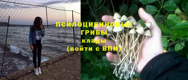 дурь Алексеевка