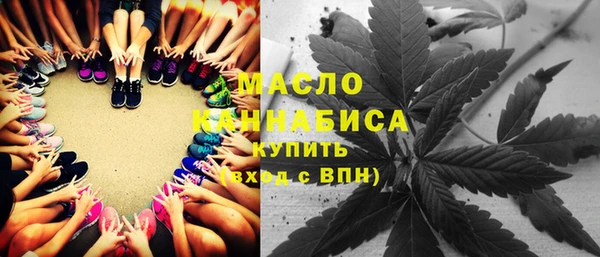 дмт Алексин