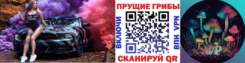 Псилоцибиновые грибы GOLDEN TEACHER Завитинск